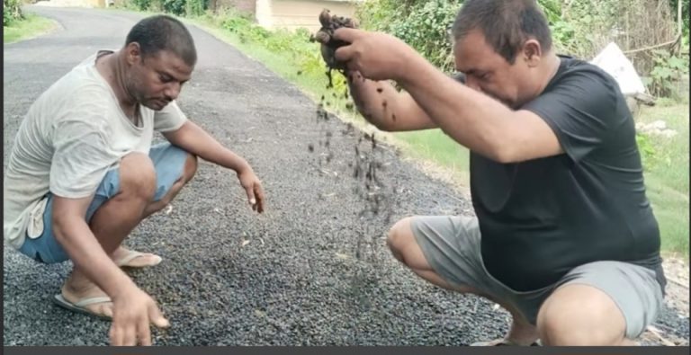 Screenshot_20250711_055159_Lite